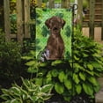 thumbnail image 2 of Chocolate Labrador St. Patricks Garden Flag, 2 of 5