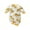 E-Taxi, variant on Bellafa Newborn Baby Boys Cotton Romper Onesies Infant Long Sleeve One-Piece Toddler Button Jumpsuits Fall Spring Outfits
