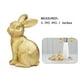 thumbnail image 5 of Decoración MAIBAOTA con conejito dorado grande de Pascua para el hogar, 5 of 6