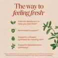thumbnail image 5 of Nature’s Way Chlorofresh Liquid Chlorophyll, Internal Deodorant*, Unisex, Mint Flavored, 16 Fl Oz, 5 of 9