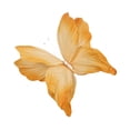 thumbnail image 5 of yotijay Artificial Butterfly Decoration DIY Giant Butterfly for Wedding Bedroom Wall Orange, 5 of 9