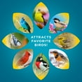 Audubon Park Waste Free Seed Cake Wild Bird Food, Premium Pressed Bird