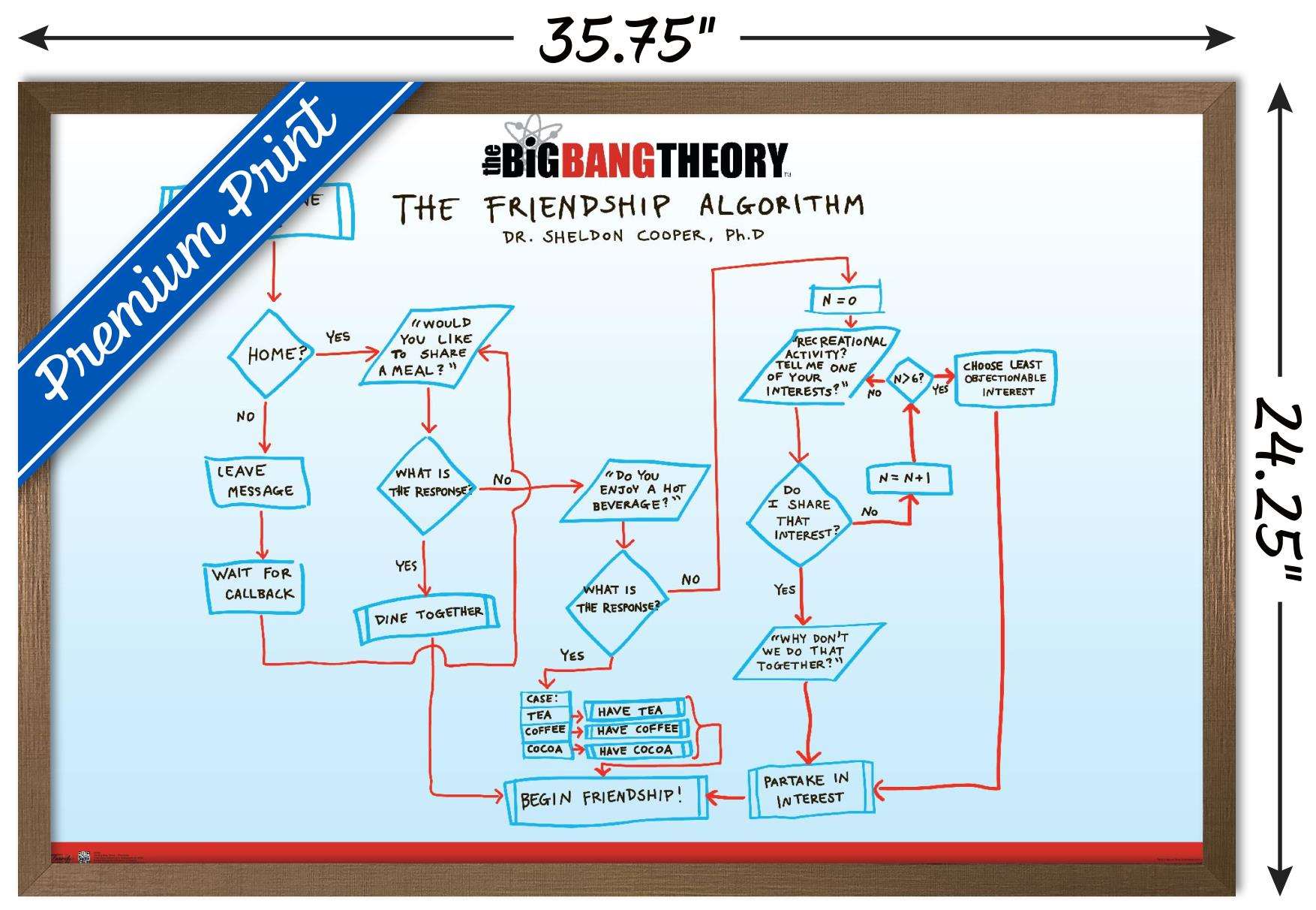 The Big Bang Theory - Friendship Wall Poster, 22.375" x 34", Framed