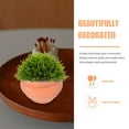 thumbnail image 2 of STRANDCHIC Small Ceramic Planter Set of 2, Plant Pots for Indoor and Outdoor Gardening, Ideal for and Herbs, 2 of 6