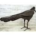 thumbnail image 2 of Rustic Primitive 22" x 13.25" Large Metal Crow Raven Statue Home Farm Garden Lodge, 2 of 6