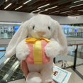 thumbnail image 2 of Jellycat Shy Embrace pequeño regalo Bonnie Rabbit peluche juguete calmante niños muñeca regalo muñeca, 2 of 5