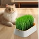 thumbnail image 4 of Bandeja de doble capa para macetas de césped,contenedor sin tierra,cultivador de pasto de trigo,jardinería doméstica,suministros para mascotas,vivero, 4 of 7