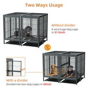BingoPaw Heavy Duty Metal Dog Crate with Cover, Divider & Tray, 51.5L x 39.3W x 39.3H