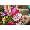 thumbnail image 4 of Osmocote 274150 Plus Outdoor and Indoor Smart Release Plant Food and Fertilizer 12 Pack, 1 lb, 4 of 5