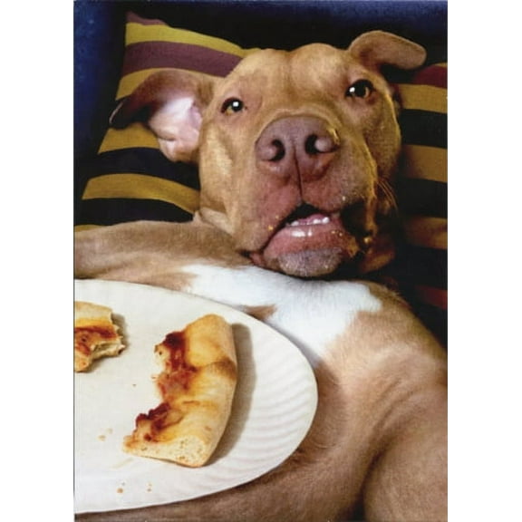 Avanti Press Dog Pizza Plate Funny Birthday Card