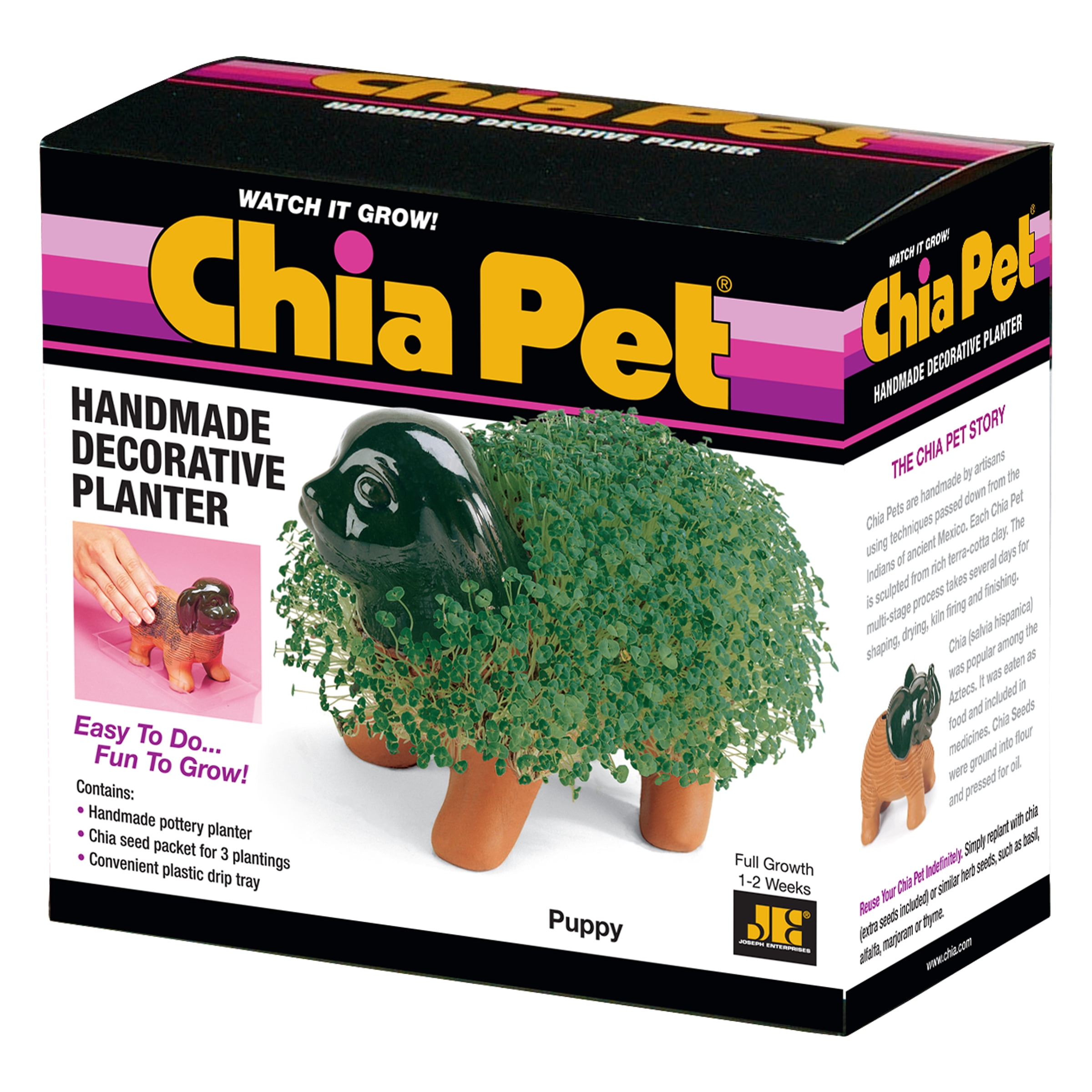 Puppy Classic Chia Pet Handmade Decorative Planter by JEI