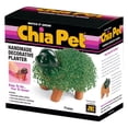 thumbnail image 4 of Puppy Classic Chia Pet Handmade Decorative Planter by JEI, 4 of 6