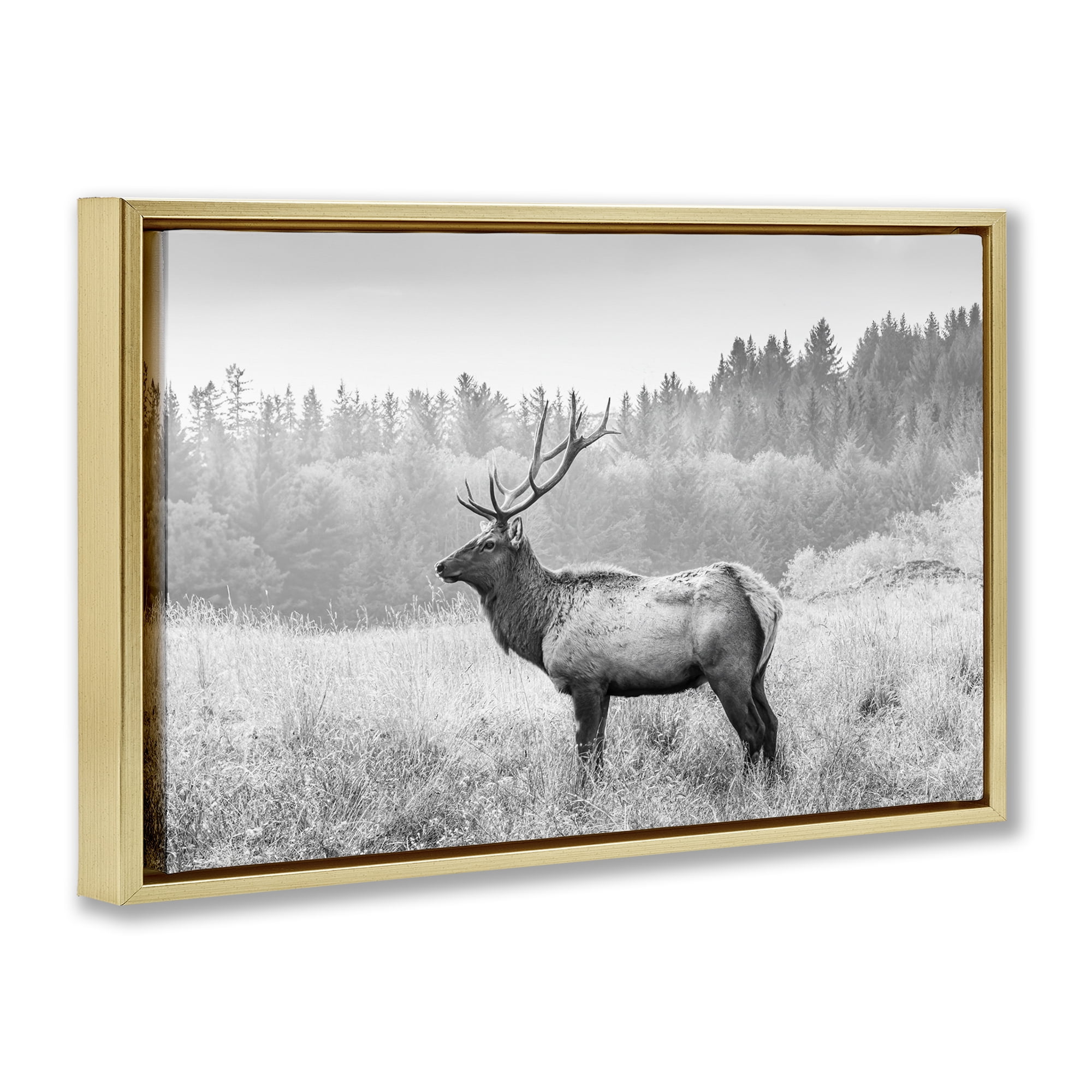 Stupell Industries Stoic American Elk Landscape & Nature Photography Gold Floater Framed Canvas Art Print Wall Art, 25 x 17