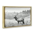 thumbnail image 4 of Stupell Industries Stoic American Elk Landscape & Nature Photography Gold Floater Framed Canvas Art Print Wall Art, 25 x 17, 4 of 10