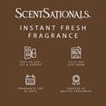 thumbnail image 4 of Scentsationals Plug in Air Freshener Starter Set – Swivel Plug Fragrance Oil Diffusers & 2 Long Lasting Scent Refills - Feelin' Cozy, 4 of 5