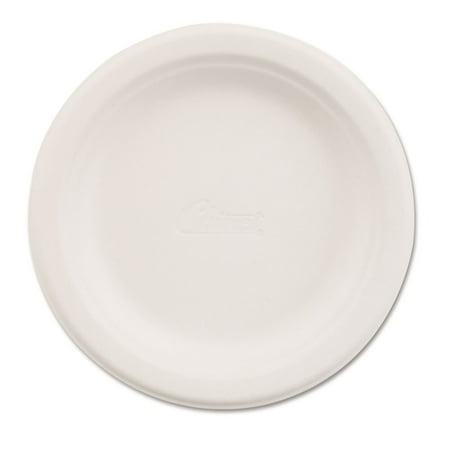 6 in. Diameter Paper Plate Dinnerware - White (125/Pack)