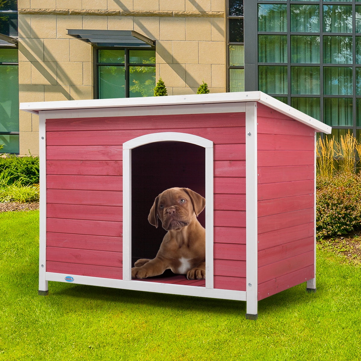 pic Red And White Dog House walmart