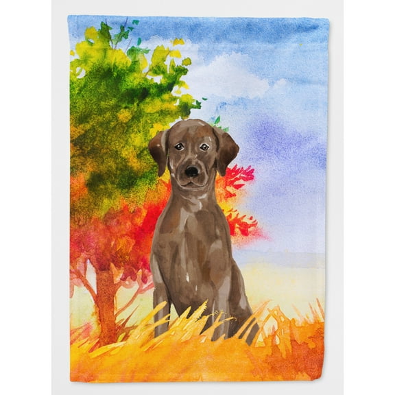 Carolines Treasures CK1951CHF Fall Chocolate Labrador Retriever Flag Canvas House Size  Large multicolor