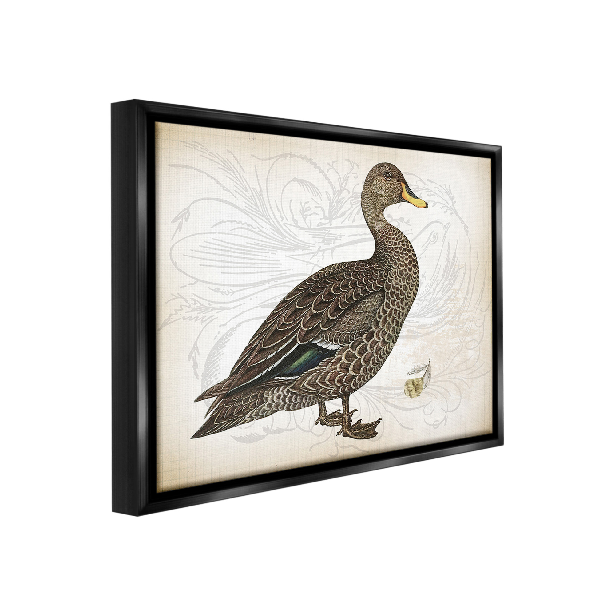 Stupell Industries Patterned Vintage Duck Animals & Insects Painting Black Floater Framed Canvas Art Print Wall Art, 31 x 25