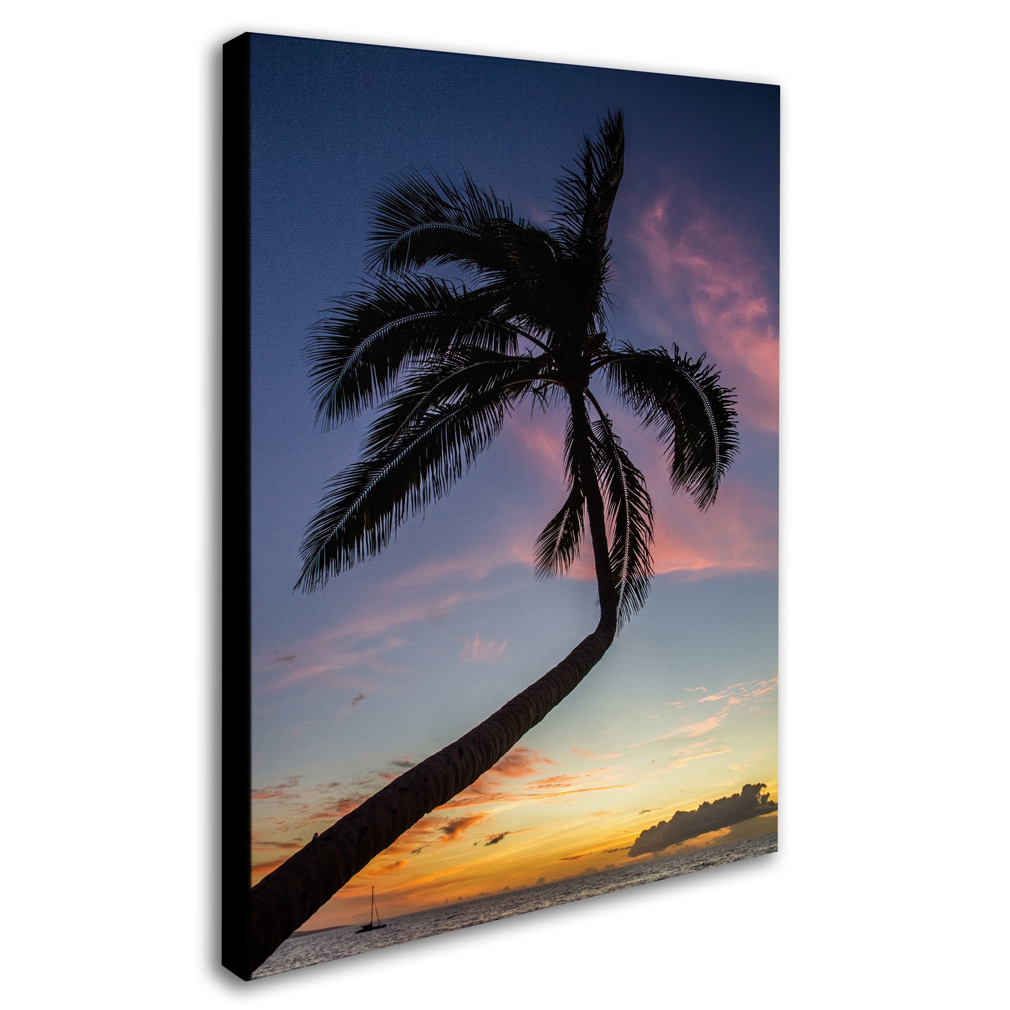 Trademark Fine Art "Sunset Palm" Canvas Art by Pierre Leclerc