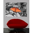 thumbnail image 2 of Boer Butterfly Wall Decal, 2 of 2