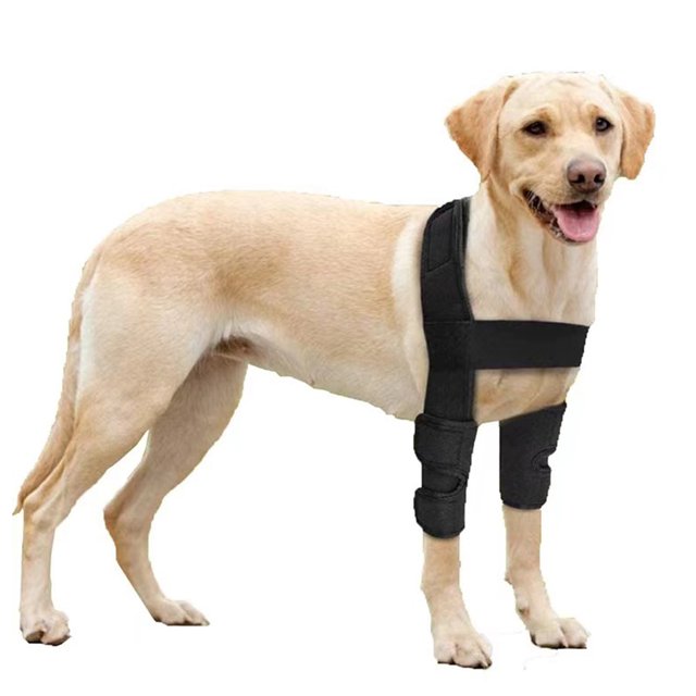 p>Manchon avant de Récupération de Chien, Support Stable Respirant Noir Confortable Accolade Réglable de Coude de Chien pour l'Arthrite pour la Chirurgie Postopératoire/p>