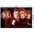 thumbnail image 3 of Harry Potter and the Order of the Phoenix - Group Wall Poster, 22.375" x 34", 3 of 6