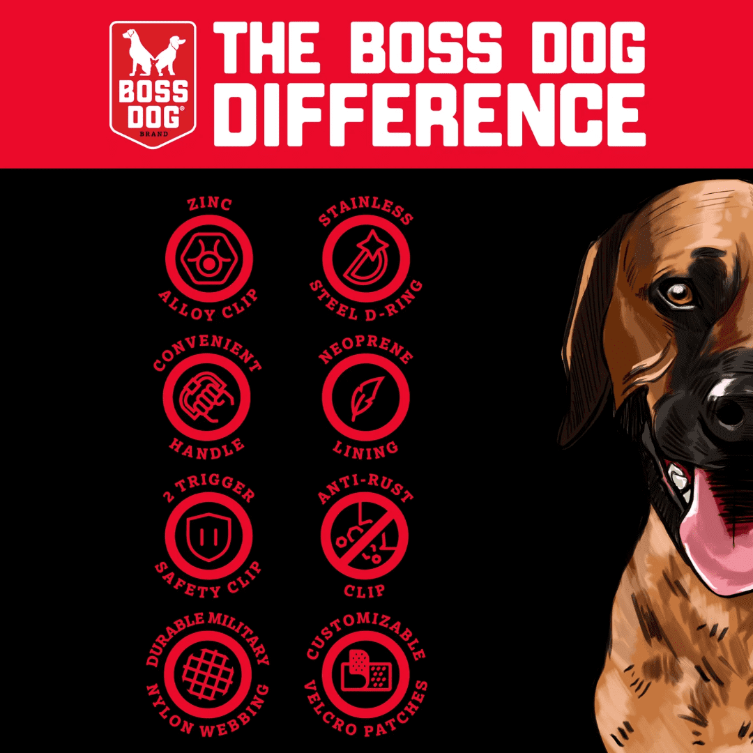 Boss Dog Tactical Collar, Blue, Medium
