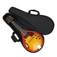 thumbnail image 5 of Ethnic Style Thickened Mandolin Case - Multi-Functional Dual Shoulder & Hand-Held Design, Authentic Brand Instrument Bag for Global Musicians, Protective Backpack for Folk Music Equipment (Wholesale), 5 of 5