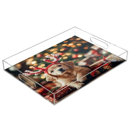 

Clear Acrylic Tray Water Cup Tray Teacup Jewelry Storage Tray for Serving and Home Decor Cute Golden Retriever Puppy