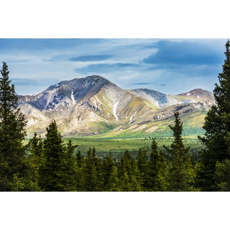 A scenic view of the Alaska Range in Denali National Park near the Savage River on a summer day in South-central Alaska Alaska United States of America Poster Print by Michael Jones  Design