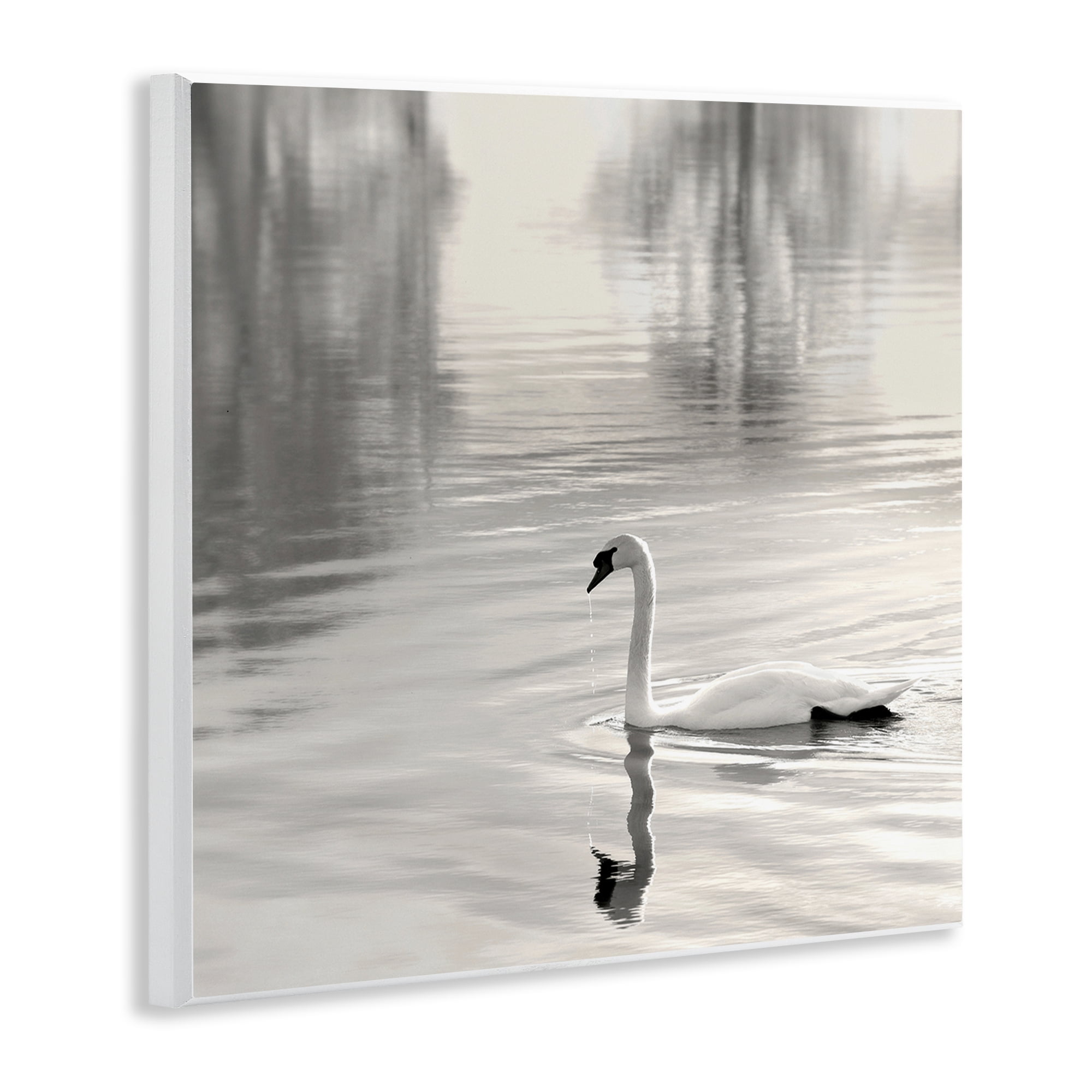 Stupell Industries Morning Sunlit Swan Wall Plaque Art, design by Nicholas Bell