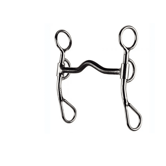 Reinsman 454 Solid Port Argentine Western Bit 5