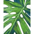 thumbnail image 2 of Pinto, Patricia 20x24 Gold Ornate Wood Framed with Double Matting Museum Art Print Titled - Tropical Leaf with Blue I, 2 of 4