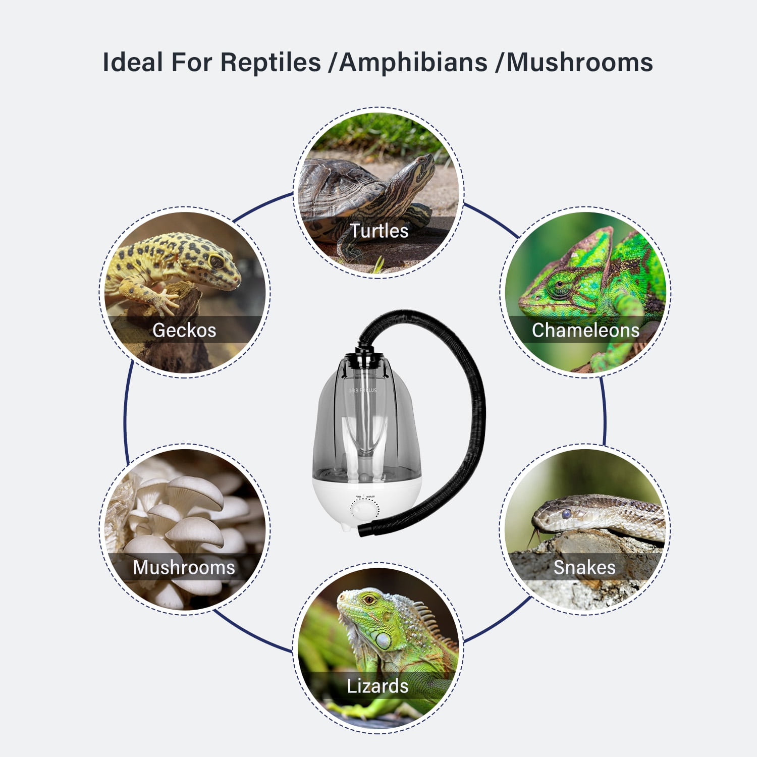Reptile Humidifiers,Reptile Fogger Terrariums Tank Humidifier Fog Machine Mister,Ideal for Paludarium/Vivarium/Amphibians/Herps (Water Capacity: 1 Gallon/4L)