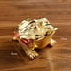 thumbnail image 3 of Cenicero de sapo con tapa, resistente al viento, para escritorio y interior Rojo dorado, 3 of 9