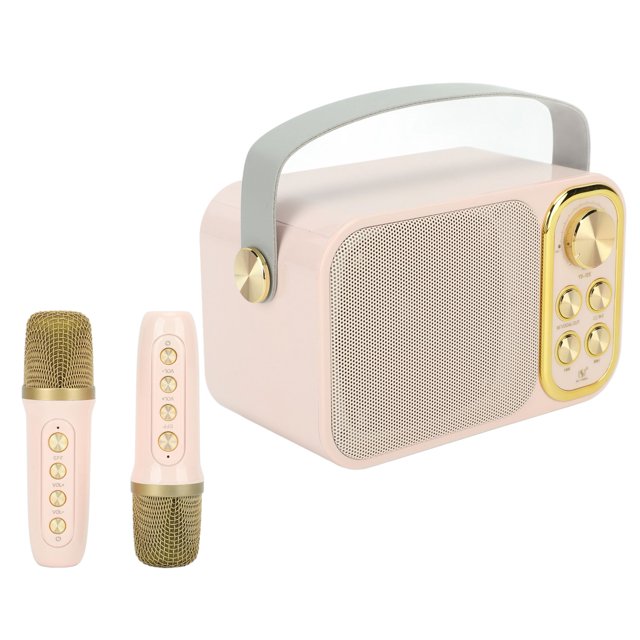 Machine de Karaoké Bluetooth, Machine de Karaoké avec 2 Haut-Parleurs de Chant Portables Performance Haut de Gamme