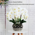 thumbnail image 2 of Orquídea artificial Inteprter Bonsai Phalaenopsis Real Touch decoración amarillo claro blanco, 2 of 6