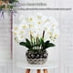 thumbnail image 2 of Orquídeas Artificiales Yuarrent Phalaenopsis Amarillo Claro Blanco, 2 of 6