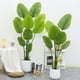 thumbnail image 5 of Plantas verdes simuladas, luces de interior, pisos de lujo, turismo, plantas de banano, plantas en macetas, decoración de sala de estar, flores y árboles falsos, 5 of 5