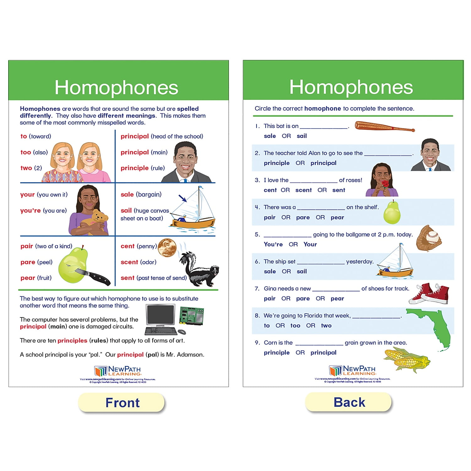 NewPath Learning Spelling Rules Bulletin Board Chart Set 12" x 18" 7/Set (NP-923501)