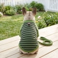 thumbnail image 6 of Deago Dog Striped T-Shirt with Leash Ring Warm Breathable Winter Pet Apparel Colorful Soft Puppy Sweatshirt Clothes for Small to Medium Dogs Puppy (Green, M), 6 of 8