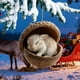 thumbnail image 5 of Decoraciones Del Árbol de Navidad 8cm Decoraciones de Animales Del Bosque Colgantes Del Árbol de Navidad Regalos Festivos, 5 of 6