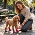 thumbnail image 6 of 2 Pairs, Dog Shoes for Hot Pavement Small Dogs Breathable Mesh Small Dog Shoes Black Non-Slip Dog Booties and Paw Protectors with Reflective Strip Adjustable Straps for Outdoor, 6 of 6