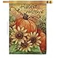 thumbnail image 3 of Breeze Decor 13060 Récolte & Automne Tournesol Citrouille Drapeau de la Maison d'Impression Verticale Recto-Verso - 28 x 40 Po., 3 of 4