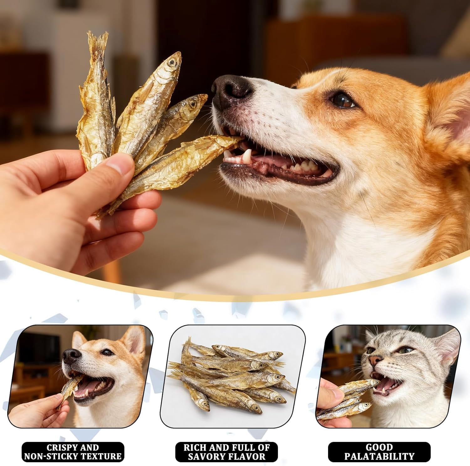 Jumbo Freeze-Dried Minnows 3 oz | Large Size 1.6-2.8 Inch Whole Fish | Natural Protein Snacks for Cats, Dogs, Turtles & Hamsters | Crunchy Treats for Dental Health (3 oz)