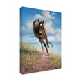 thumbnail image 2 of Trademark Fine Art 'Wild Oats' Canvas Art by Jack Sorenson, 2 of 4