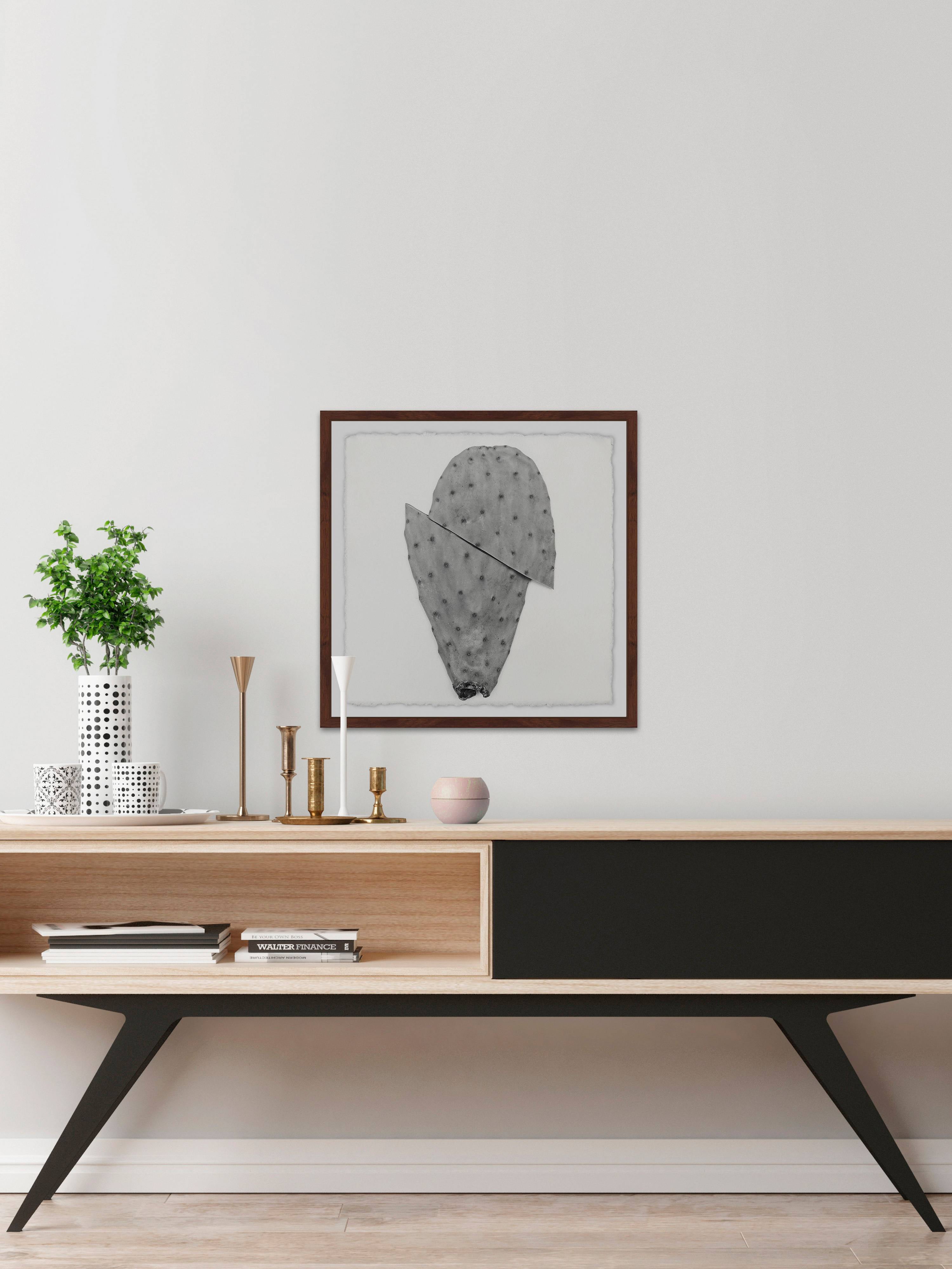 Sliced Cactus Framed Painting Art Print, 12.00" x 1.50"