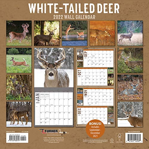TURNER Photographic Big Grid Calendar 12X12 Wall Calendar 22998940079