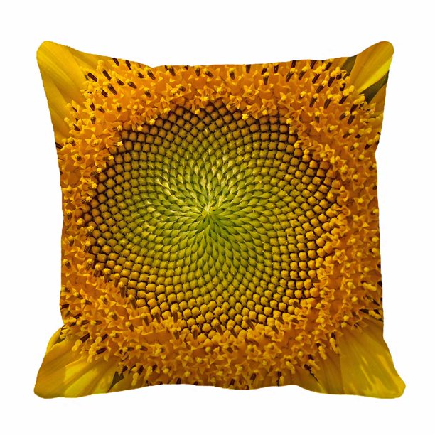 PKQWTM warm sunflower Bed Decor Pillow Cases Zippered Cushion Cover